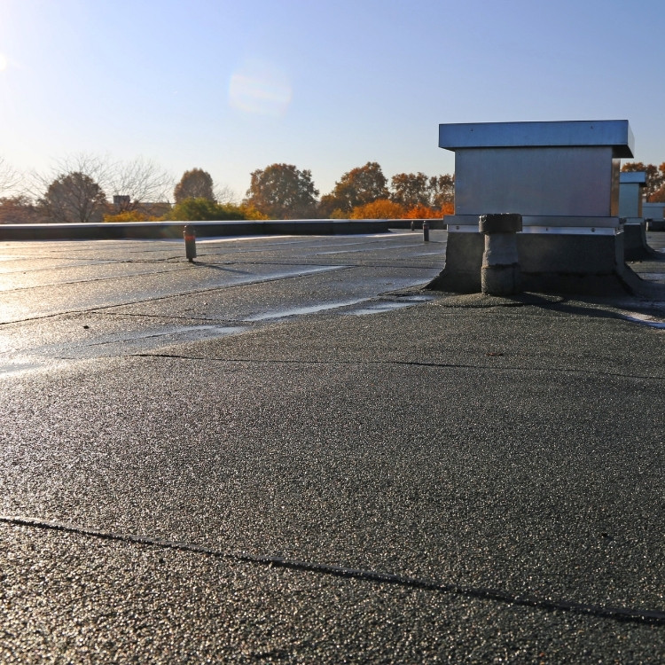 Just another WordPress site